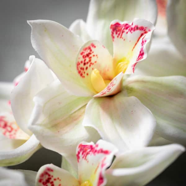 Artificial Silk Orchid Bouquet Small Cymbidium Various Colors – RusticReach