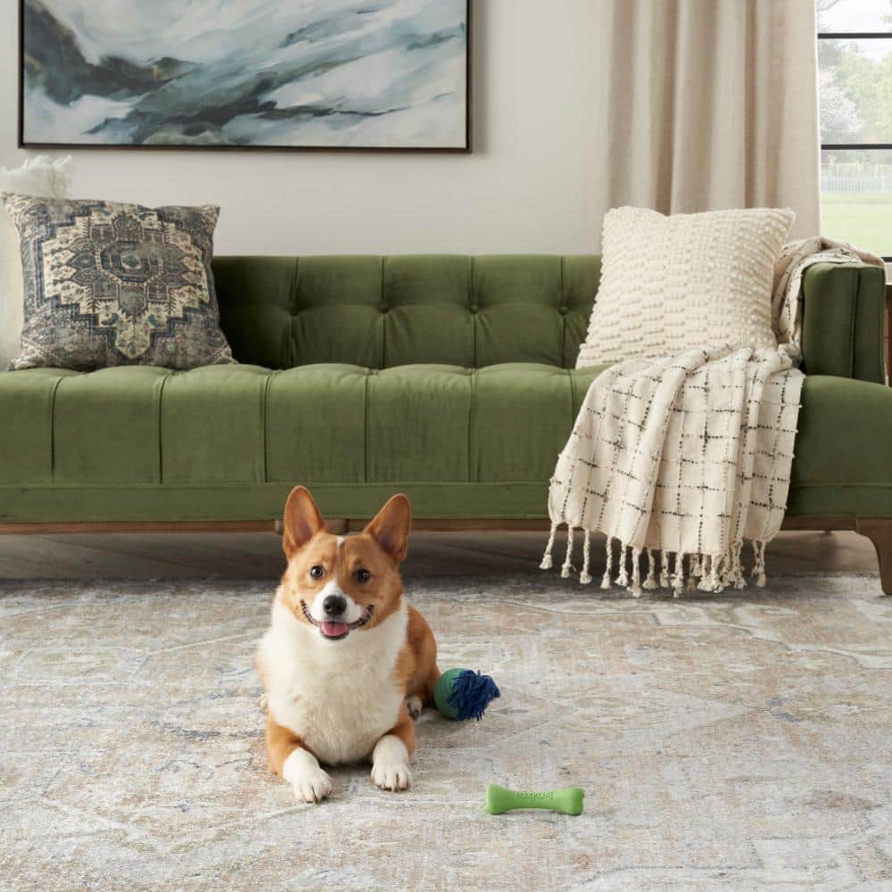 Beige Medallion Power-Loomed Washable Rectangular Area Rug