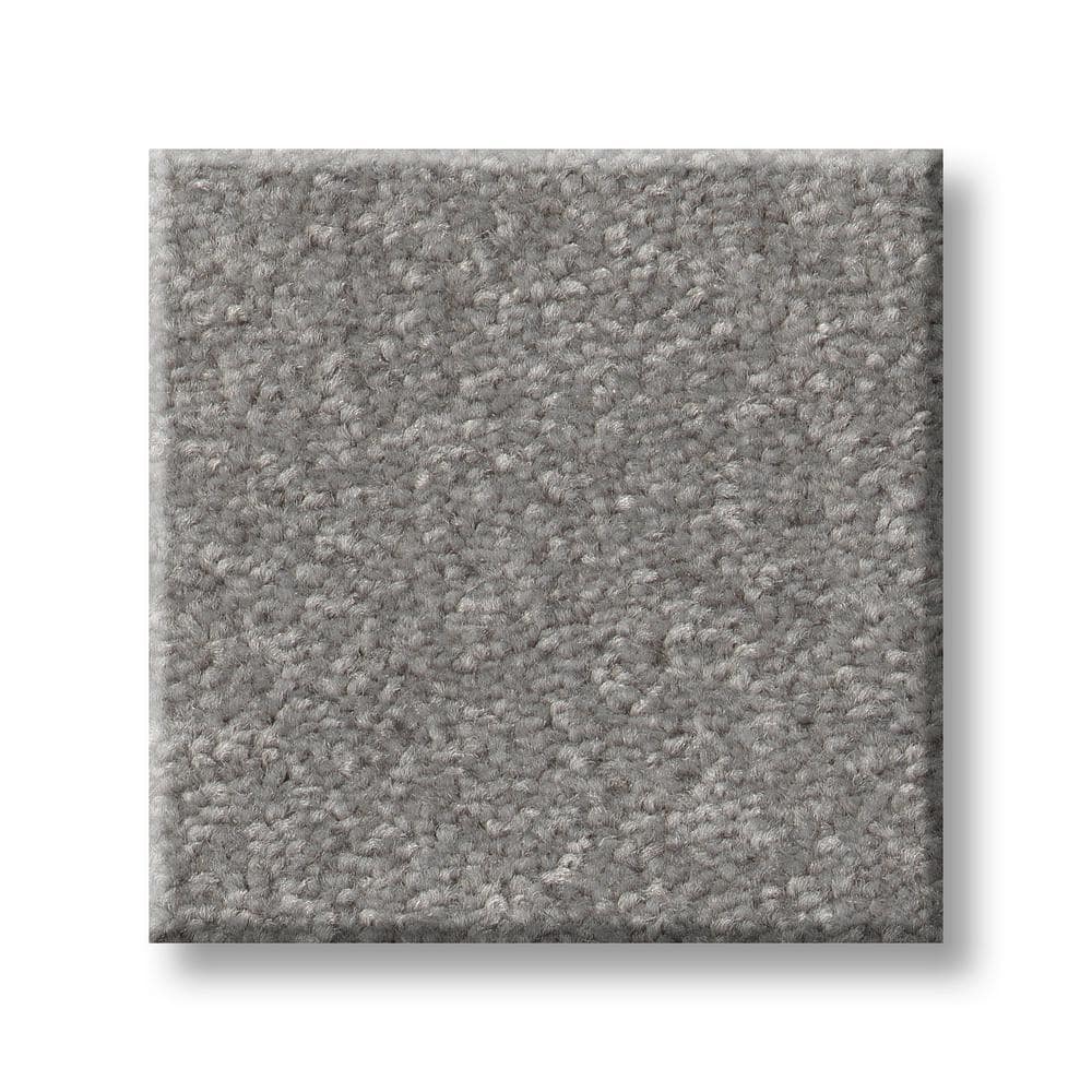 8 in. x 8 in. Texture Carpet Sample - Blakely II -Color Tin price history on PriceWatchPro