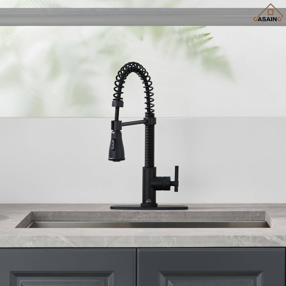 Matte Black Stainless Steel Pull Down Kitchen Faucet with Spray