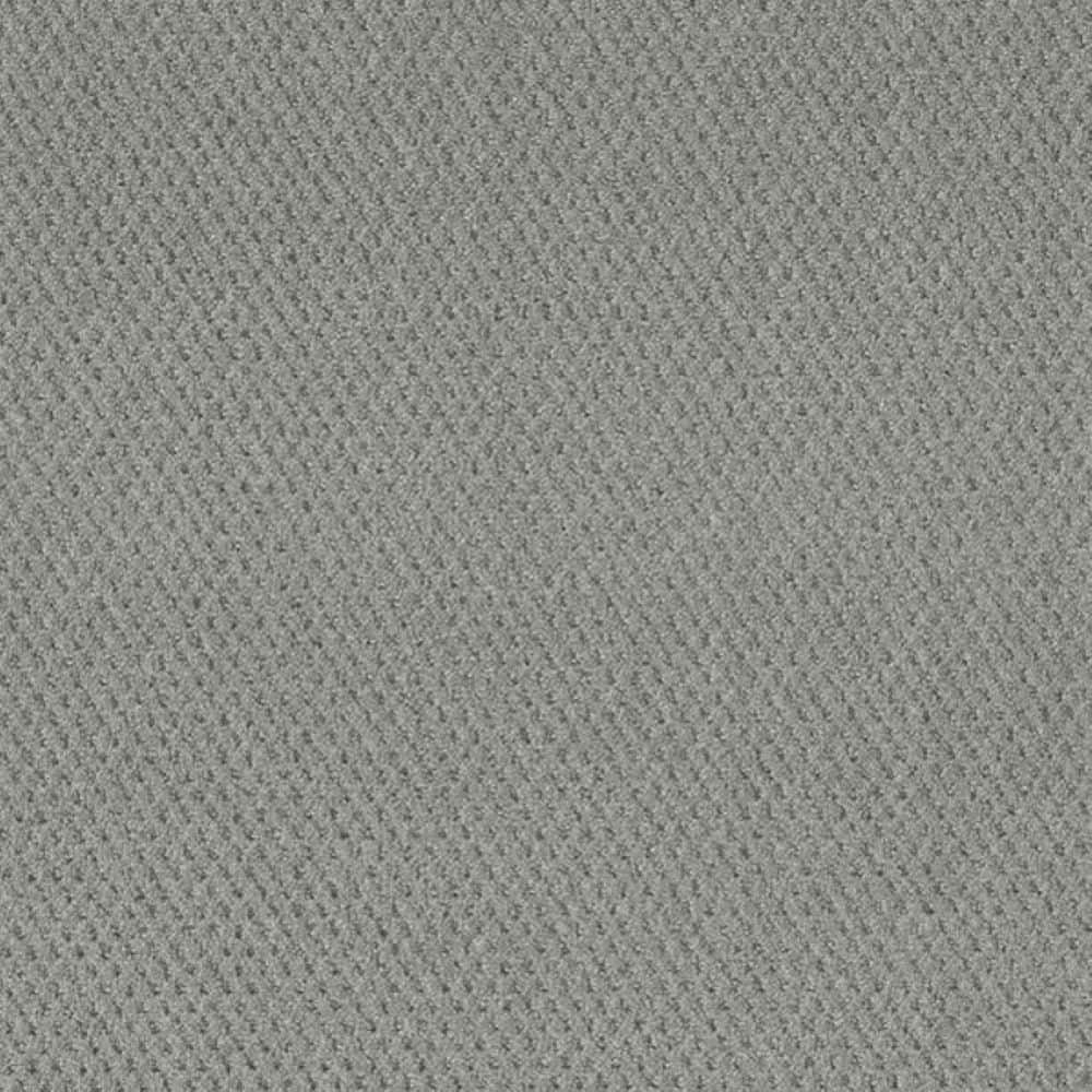8 in. x 8 in. Pattern Carpet Sample-Fretboard-Color Smooth price history on PriceWatchPro