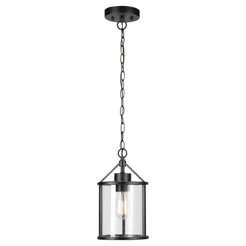 1-Light Black Outdoor Indoor Pendant with Clear Glass Shade, Vintage Incandescent Bulb Included price history on PriceWatchPro