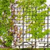 Tunearary 7.2 ft. Black Outdoor Metal Rustproof Garden Trellis, (2-Pack) W1586Pyx&L1