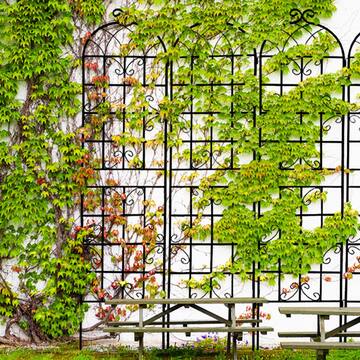 Tunearary 7.2 ft. Black Outdoor Metal Rustproof Garden Trellis, (2-Pack) W1586Pyx&L1