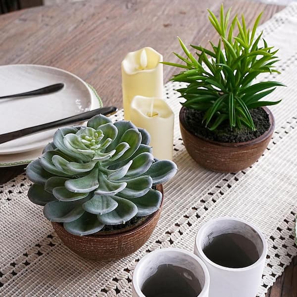 Unbranded 2-Pack 6 in. Artificial Succulents in Pots for Home and Office  Decor ENHD30977