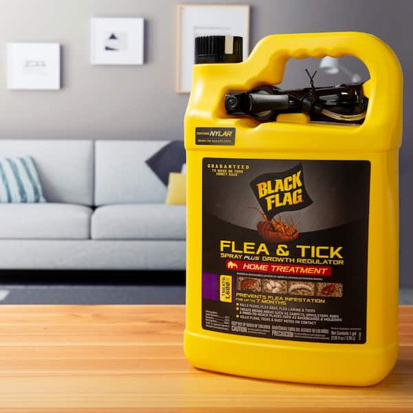 Picture of Black Flag 1 Gal. Flea and Tick Ready-To-Use Spray Plus Growth ...