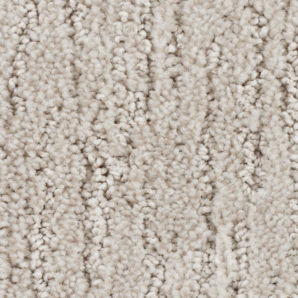 8 in. x 8 in. Texture Carpet Sample - Chester -Color Harmony price history on PriceWatchPro