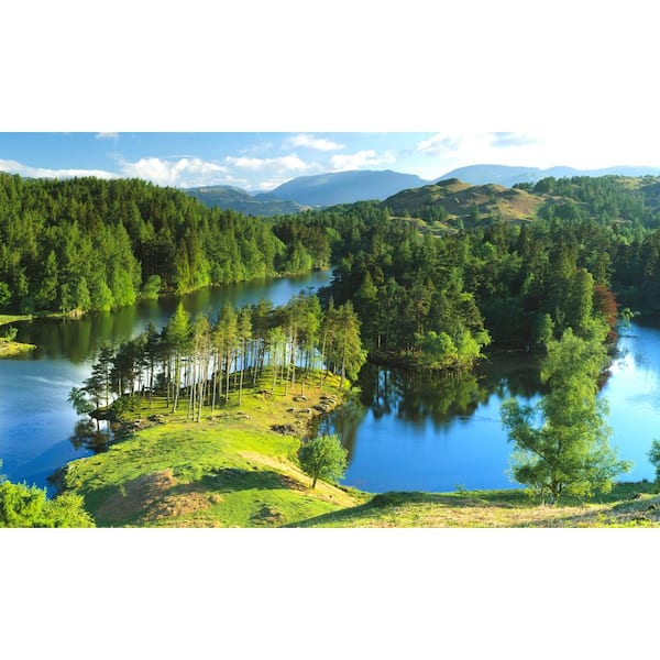 Biggies Peninsula View - Weather Proof Scene for Window Wells or Wall Mural - 120 in. x 60 in