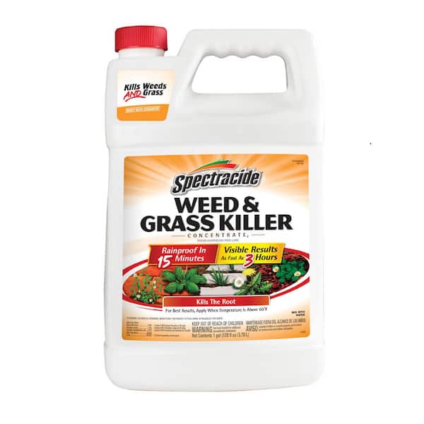 Spectracide 1 gal. Weed and Grass Killer Concentrate HG-96620-3