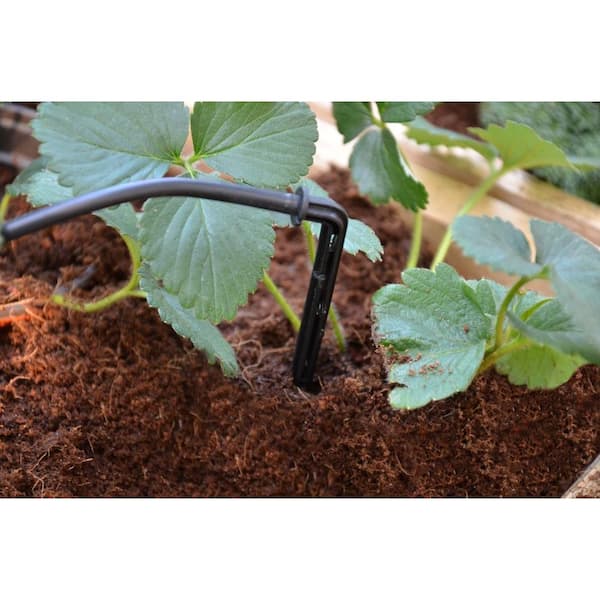 Greenhouse Drip Irrigation Kit
