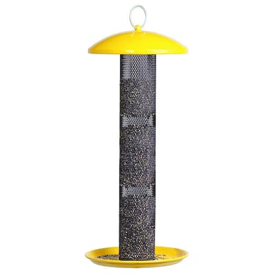 Straight Sided Yellow Metal Hanging Seed Feeder for Finch Bird-1.5 lb. Capacity