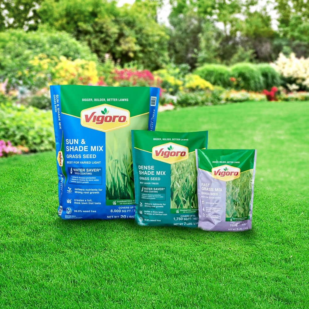 Buy 20 lbs. Sun and Shade Grass Seed Mix with Water Saver Seed Coating ...