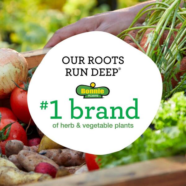 Bonnie Plant Farm Logo