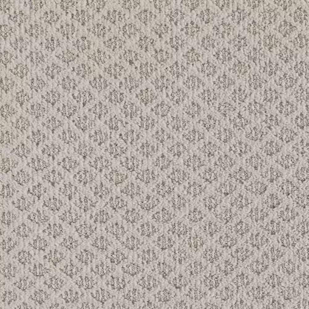 8 in. x 8 in. Pattern Carpet Sample - Motif Muse - Color Coble price history on PriceWatchPro