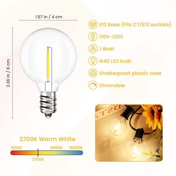 5-Watt G40 Replacement Globe Dimmable Warm White Filament Clear Glass E12 LED Screw Base Globe Light Bulb (25-Pack)