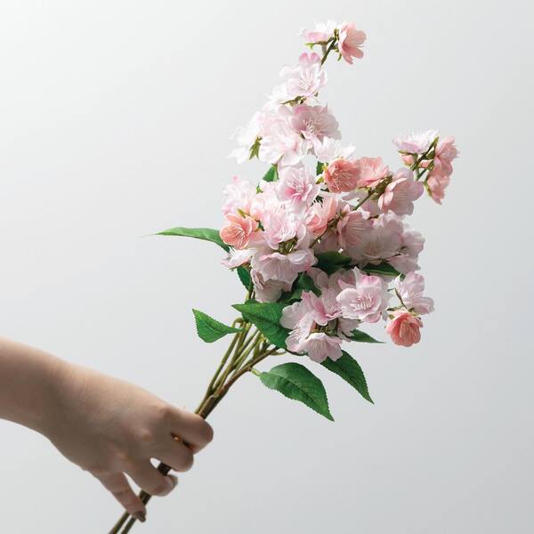 花卉57 Oceanside Garden with Blue Vase | Blooms Today