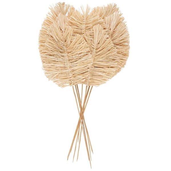 Litton Lane 32 in. Tall Spear Natural Foliage with Sharp Stems (One Bundle)