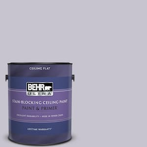 1 gal. #N560-1 Posture and Pose Ceiling Flat Interior Paint with Primer
