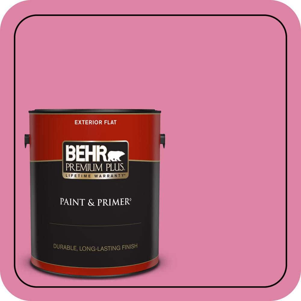 1 gal. Home Decorators Collection #HDC-MD-10A Sweet Chrysanthemum Flat Exterior Paint & Primer price history on PriceWatchPro