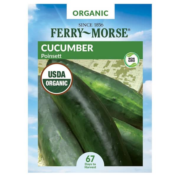 Ferry-Morse Organic Cucumber Poinsett Fruit Seed