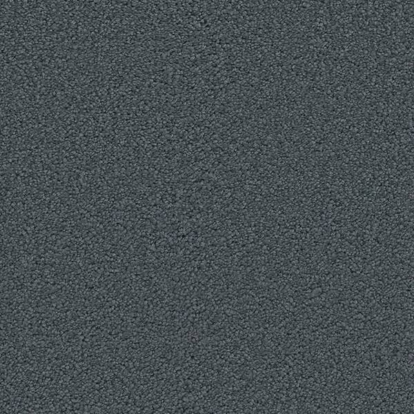 Lifeproof Carpet Sample - Harvest II - Color Durango Texture 8 in. x 8 in.