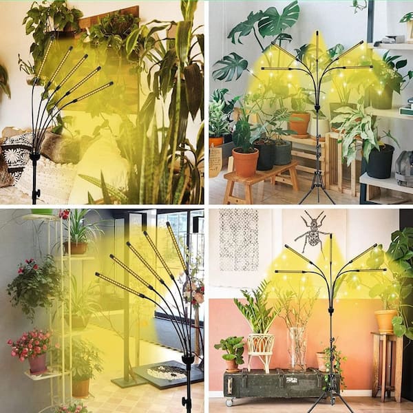BIBIVIS 5-Head Grow Light with A Tripod Stand, Full Spectrum Grow