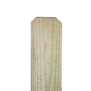 1 in. x 6 in. x 6 ft. Pressure-Treated Pine Dog-Ear Fence Picket