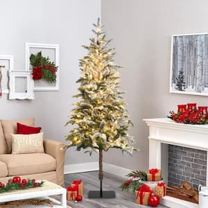 Pencil - 6 ft - Pre-Lit Christmas Trees - Artificial Christmas Trees ...