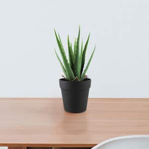 13.5 in. Soft Real Touch Artificial Aloe Succulent Plant in Pot