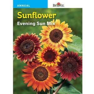 Sunflower Evening Sun Mix Seed