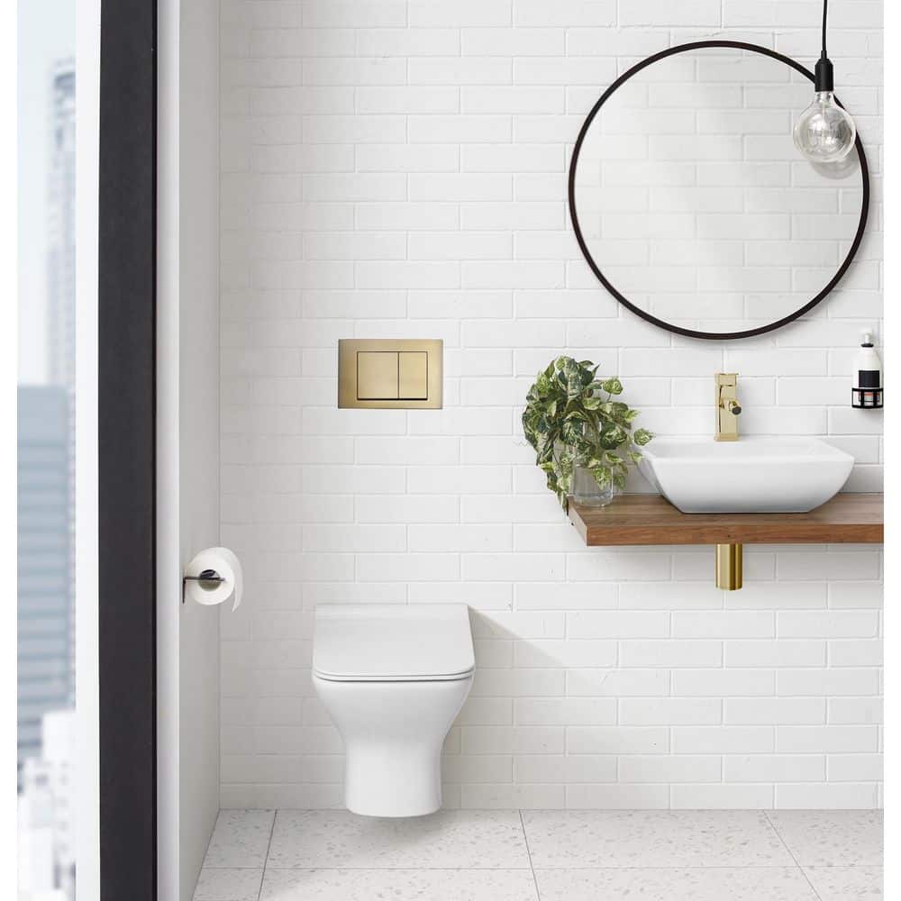 Wall Mount Dual Flush Actuator Plate with Square Push Buttons, Brushed Brass price history on PriceWatchPro