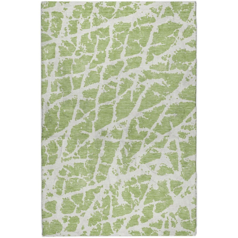 Dream Shag Premium Machine Washable Abstract ADS501 Aloe 8 ft. x 10 ft. Area Rug price history on PriceWatchPro