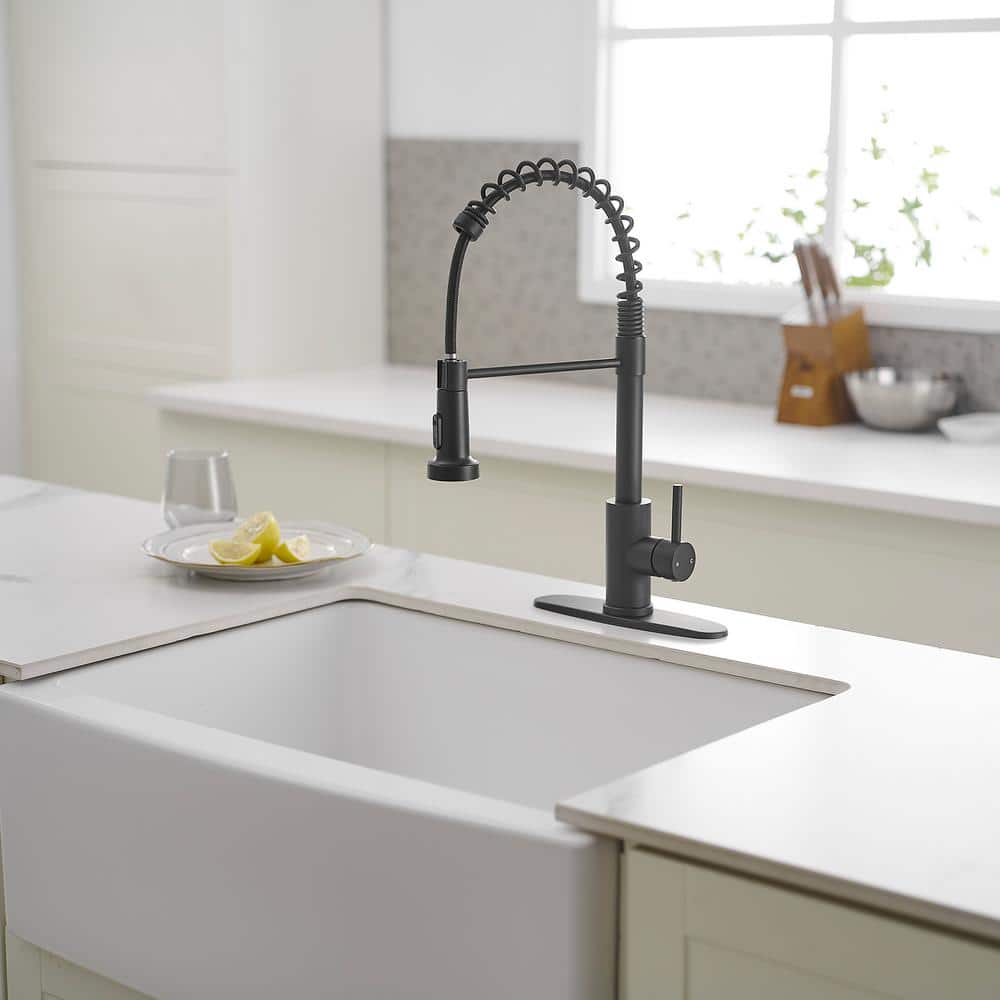 Matte Black Single-Handle Pull-Down Sprayer Kitchen Faucet