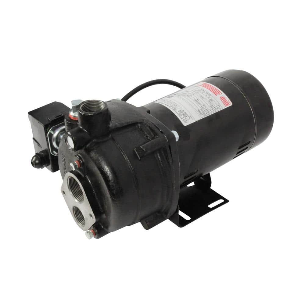 Wayne 1/2 HP Black Cast Iron Convertible Jet Well Pump