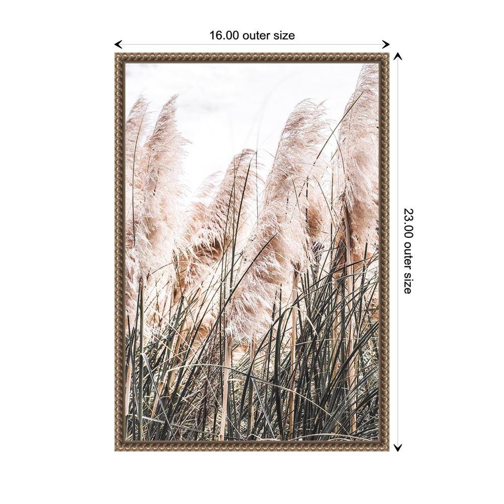Pampas Grass Sepia Photography Canvas with Beaded Bronze Frame