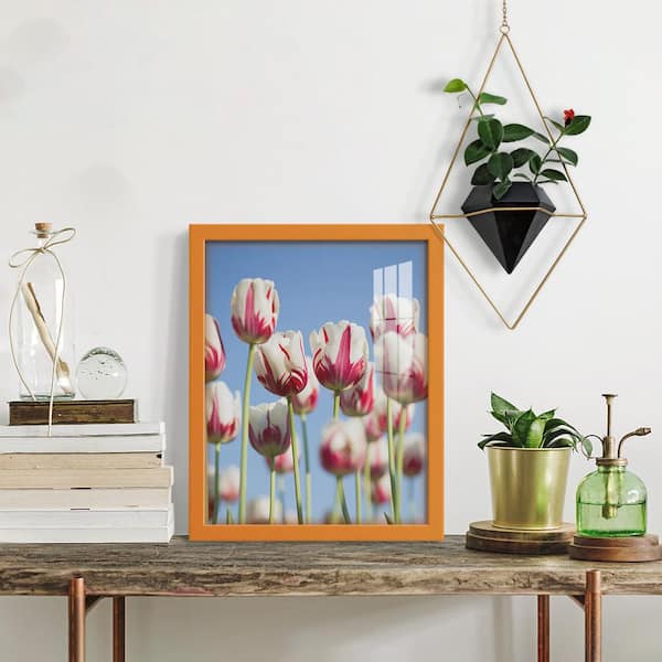 Wexford Home Modern 11 in. x 14 in. Orange Picture Frame WF009G