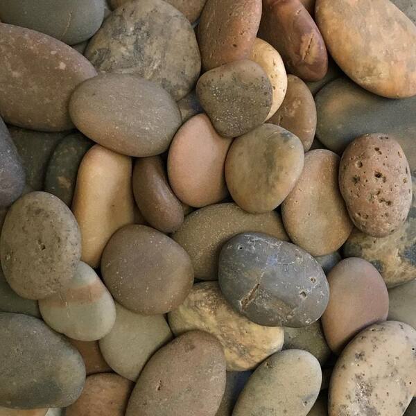 Butler Arts 0.25 cu. ft. 20 lbs. 1/2 in. to 1-1/2 in. Buff Button Mexican Beach Pebble