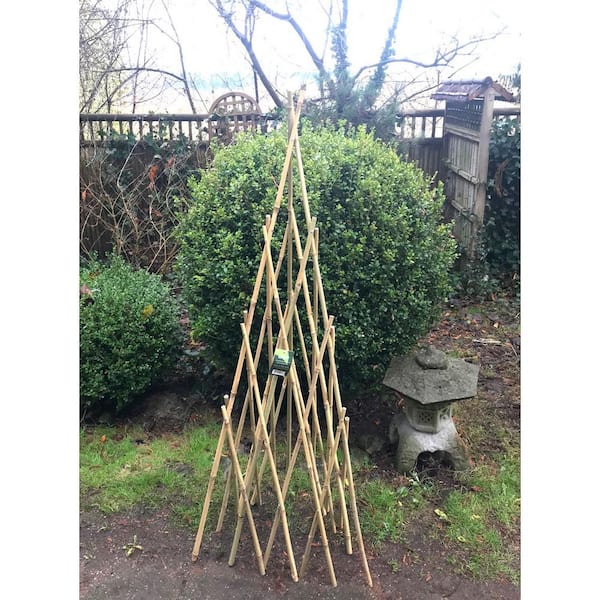 MGP 60 in. H Natural Bamboo Poles Teepee BT-60 - The Home Depot