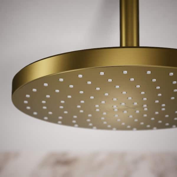 KOHLER Awaken 1-Spray Patterns 1.75 GPM 10 in. Ceiling Mount Fixed