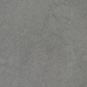 Eternity 9.8 mm Thick x 11.81 in. Wide x 35.43 in. Length Laminate Flooring (20.34 sq. ft./Case)
