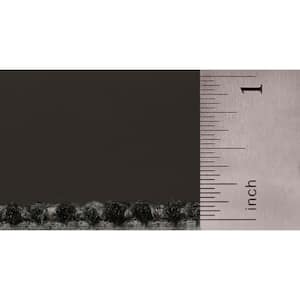 8 in. x 8 in. Textured Loop Carpet Sample - Basics -Color - Charcoal