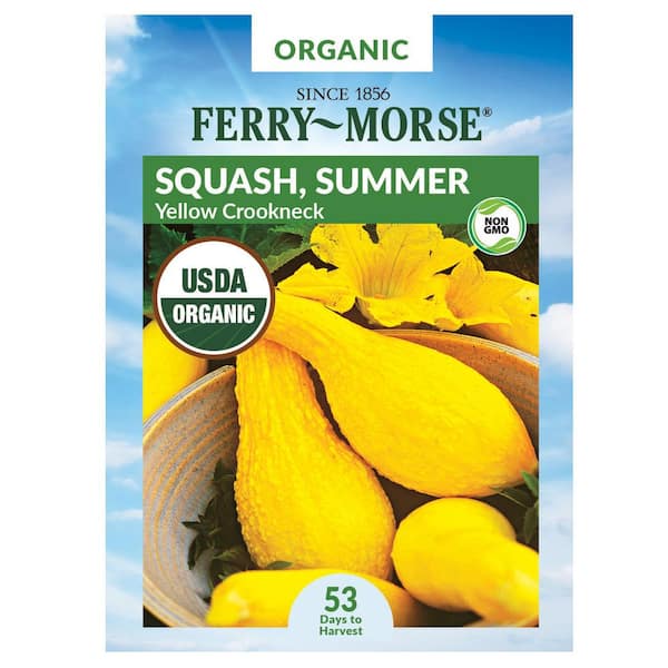 Ferry-Morse Organic Squash Yellow Summer Crookneck Fruit Seed