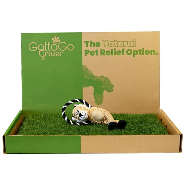 Unbranded Gotta Go Grass Bermuda Refill Plus Squeaky Toy