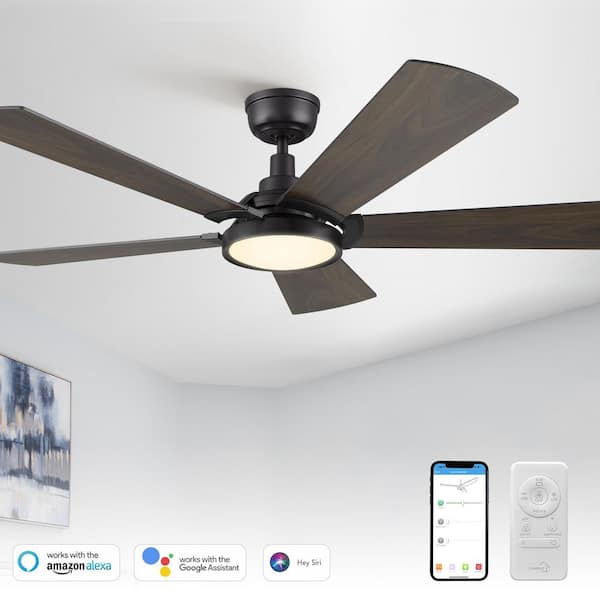 Wilkes 52 in. Dimmable LED Indoor/Outdoor Black Smart Ceiling Fan with Light and Remote, Works with Alexa/Google Home