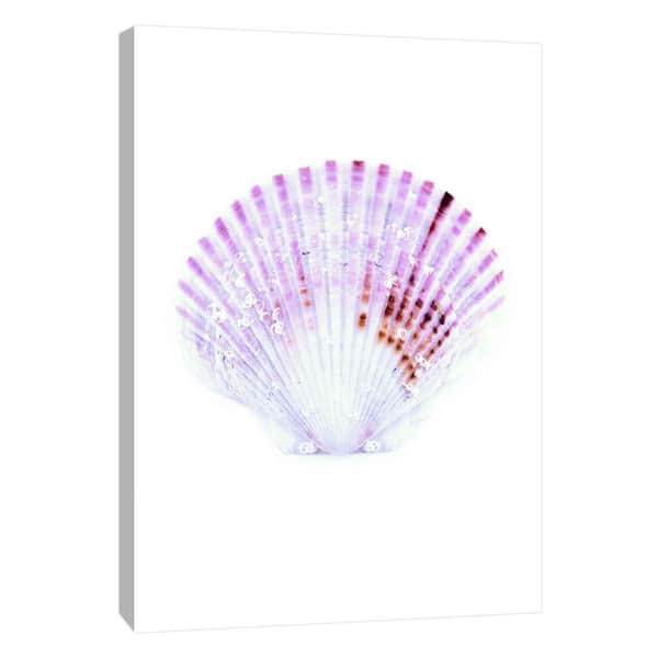 PTM Images 10 in. x 12 in. ''Coastal Shells B'' Printed Canvas Wall Art