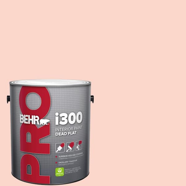 1 gal. #P180-1 Deco Shell Dead Flat Interior Paint