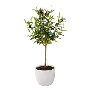 28 in. Faux Olive Tree in 7.25 in. Gray Cement Pot