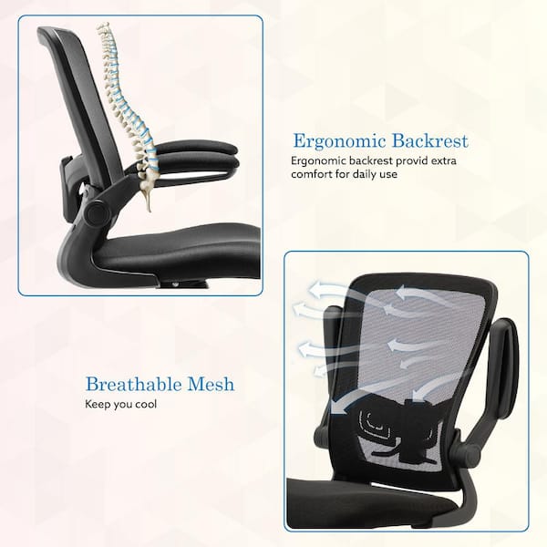 Lumbar Support for Office Chair & Car Back Support for Lower Back Pain  Relief, Healthy Posture, and Improved Productivity - Includes Desk Chair  Back