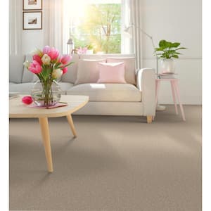 Park Royal - Color Fawnwood Beige 52 oz. Nylon Texture Installed Carpet