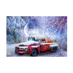 Unframed Home Celebrate Life Gallery 'Wonderland Of Lights' Photography Wall Art 30 in. x 47 in.
